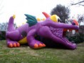 /album/equipamiento/dragon-perfil-jpg/